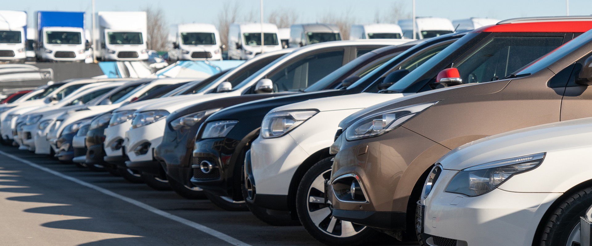 What does fleet mean in a dealership?